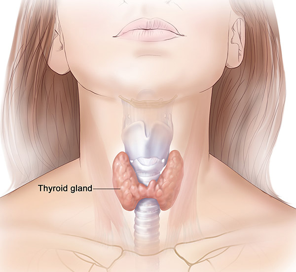 Dr. Sangeeta Panigrahi – Thyroid Doctor Andheri East